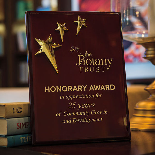 3-Star Piano Finish Plaque