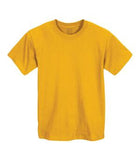 Fruit of the Loom Lofteez HD Youth T-Shirt Gold