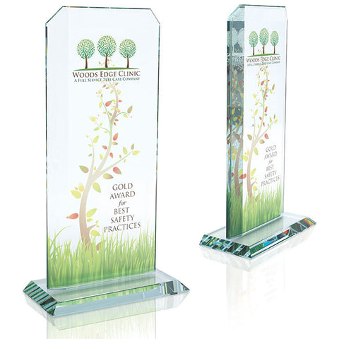 Starfire Echo Award - Large