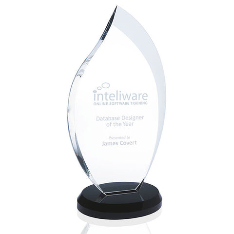 Innovation Award - Large