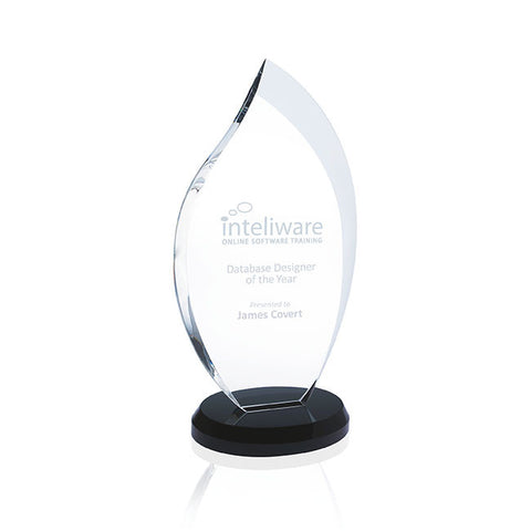 Innovation Award - Small