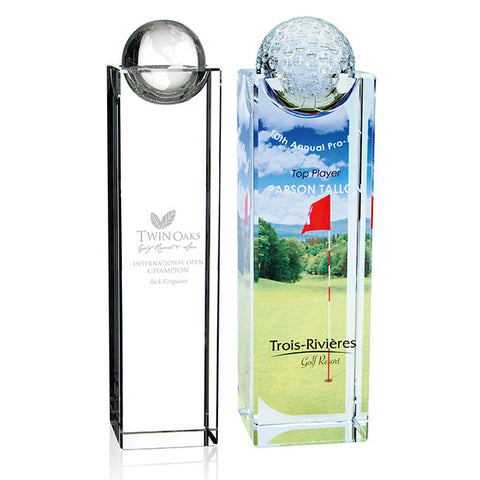 Perception Award - Large