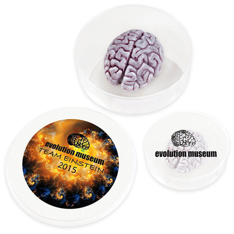 Splatter Brain in a Dish