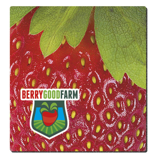8" Round & 7.5" x 8" Fabric Surface Standard Size(1/4" Thickness)