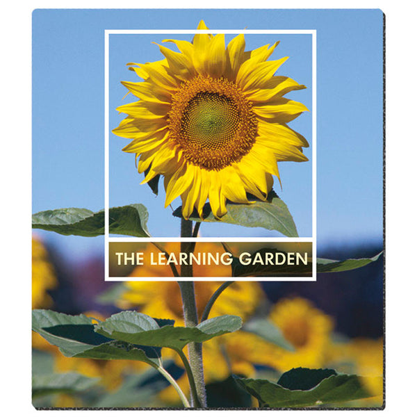 7.5" x 8.5" Ultra Thin Standard Size