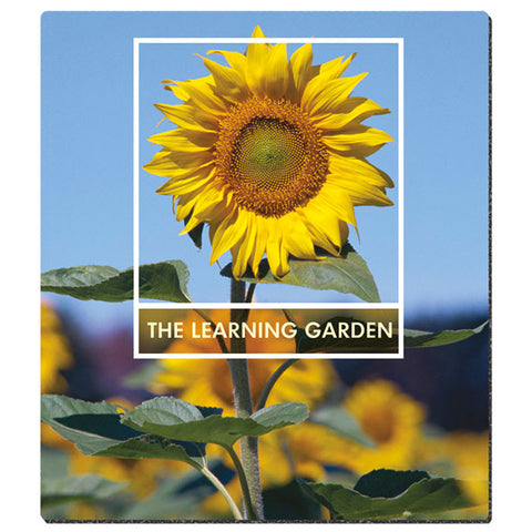 7.5" x 8.5" Ultra Thin Standard Size